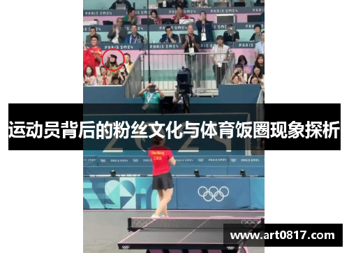 运动员背后的粉丝文化与体育饭圈现象探析